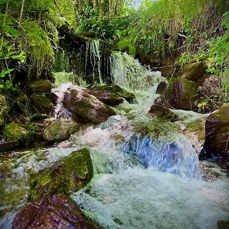 Bergerie De Lasariberes * Gazost (Hautes-Pyrenees)